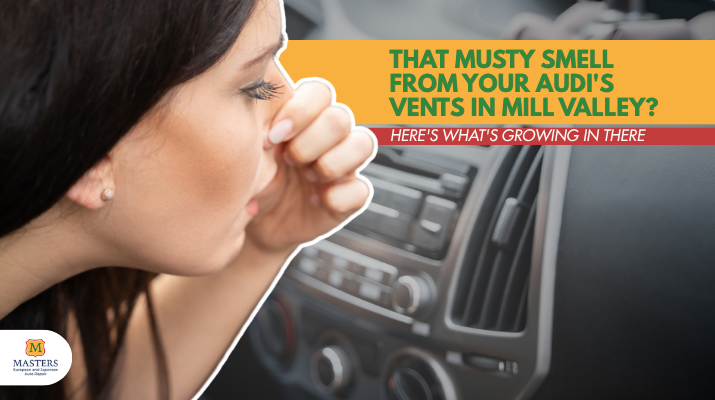 That Musty Smell From Your Audi's Vents in Mill Valley Here's What's Growing In There